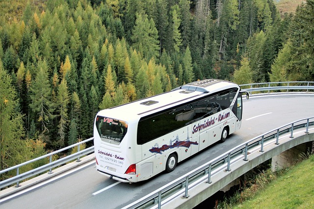 transport des personnes âgées et à mobilité réduite